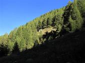 Salita da Franciscio di Campodolcino al Rifugio Chiavenna in Alpe Angeloga il 21 settembre 2010  - FOTOGALLERY